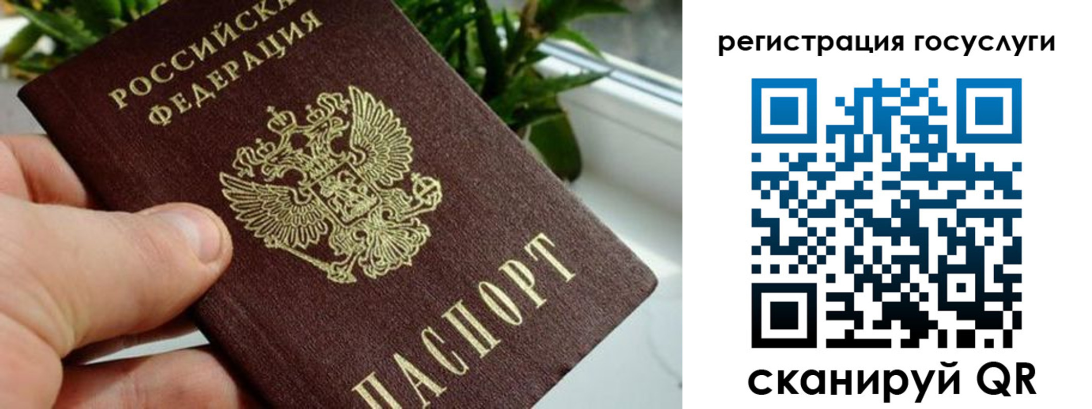 прописка для кредита в Курской области