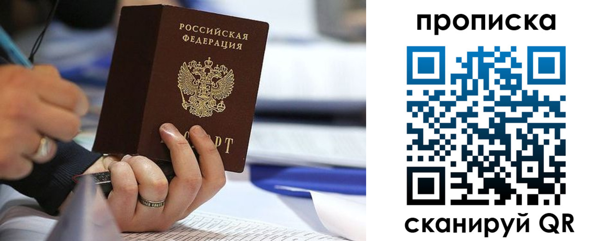 временная регистрация поиск в Курской области