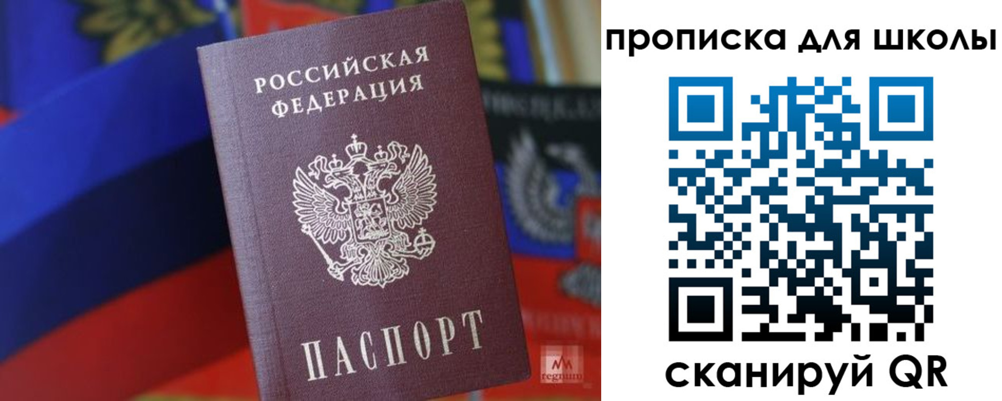временная регистрация поиск в Курской области